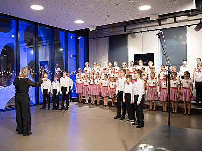 stromek_2023_djkt_foto_irena_sterbova-0672