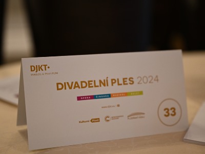 Ohlédnutí za Divadelním plesem