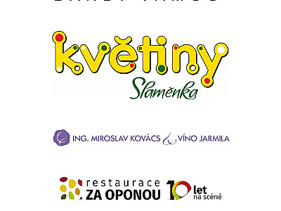 Ples_partneři