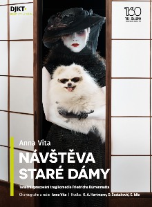 Návštěva staré dámy