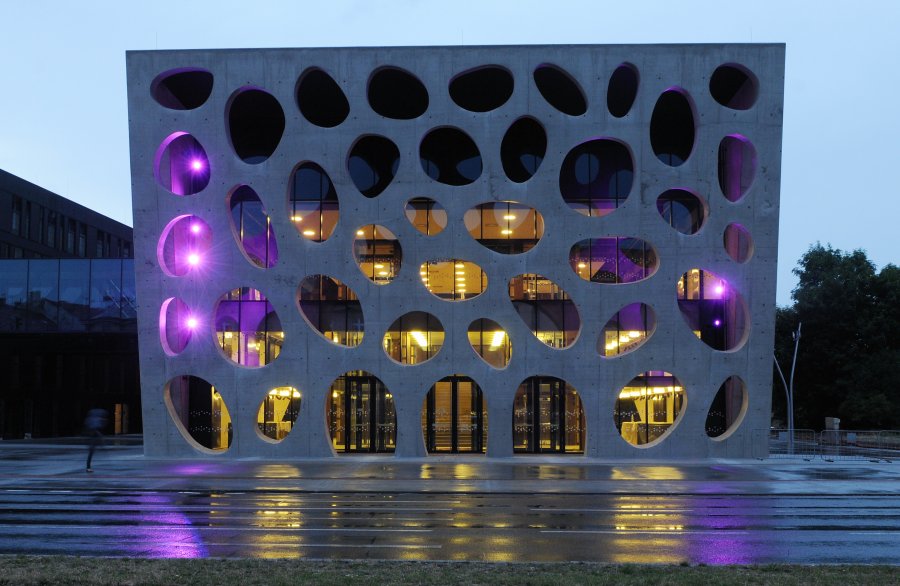 Purpurové Česko, purpurové DJKT