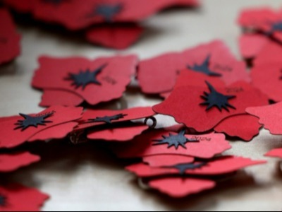 Sbírka ke Dni válečných veteránů