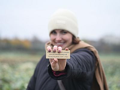 04_DJKT_2025_muzikalova_alej_foto_Milan_Svoboda_DSC_3041