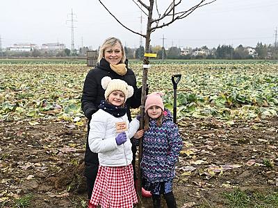 05_DJKT_2025_muzikalova_alej_foto_Milan_Svoboda_DSC_0540