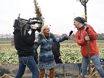 DJKT_2025_muzikalova_alej_foto_Milan_Svoboda_DSC_0439