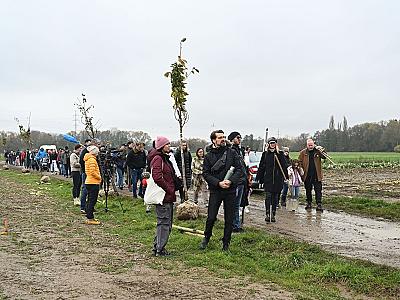 DJKT_2025_muzikalova_alej_foto_Milan_Svoboda_DSC_0445