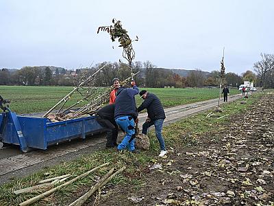 DJKT_2025_muzikalova_alej_foto_Milan_Svoboda_DSC_0431