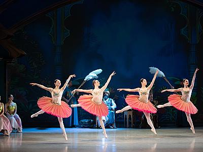 la_bayadere_2025_foto_irena_sterbova-0097