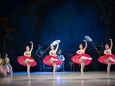 la_bayadere_2025_foto_irena_sterbova-0082
