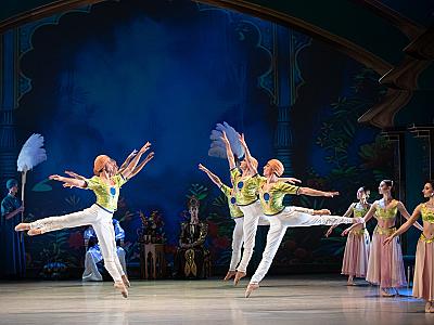 la_bayadere_2025_foto_irena_sterbova-9054