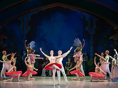 la_bayadere_2025_foto_irena_sterbova-9073