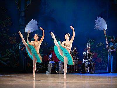 la_bayadere_2025_foto_irena_sterbova-8888