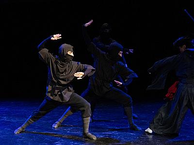 baletni_inspirace_djkt_2026_foto_irena_sterbova-8701