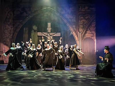 Sestra-v-akci-WEB-root-2273