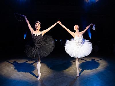 divadelni_ples_djkt_2026_foto_irena_sterbova-2847